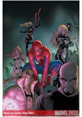 Amazing Spider-Man Vol 1 #653 VF/NM
