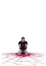 Amazing Spider-Man Vol 1 #655 VF/NM
