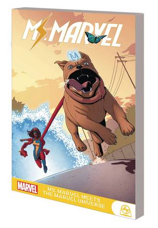 Ms Marvel GN TP Meets The Marvel Universe